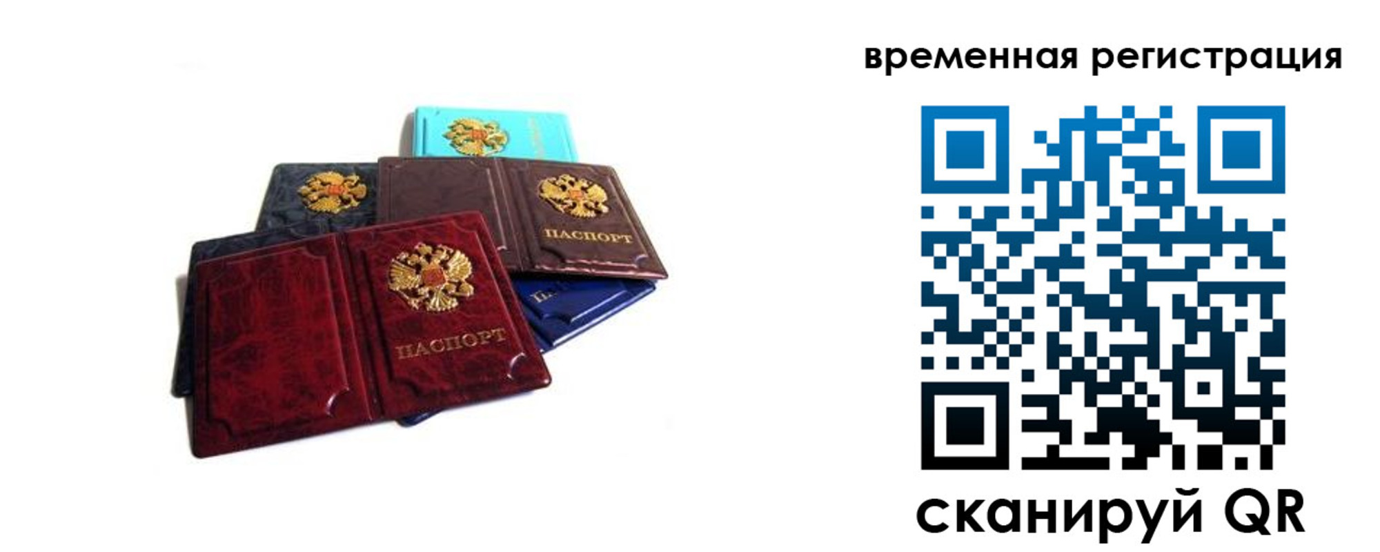 прописка гарантия в Миассе